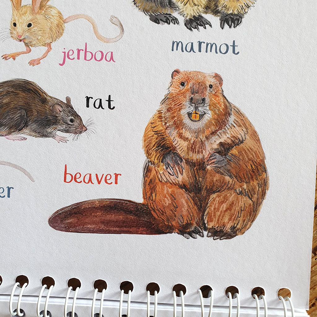 2025 'For The Pun Of It' Cheeky Wall Calendar