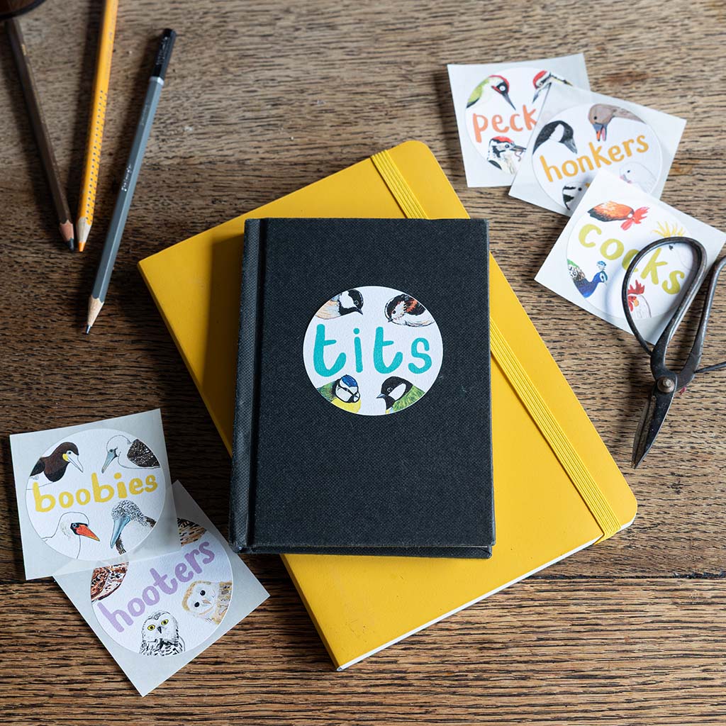 Set of 6 Bird Pun Stickers