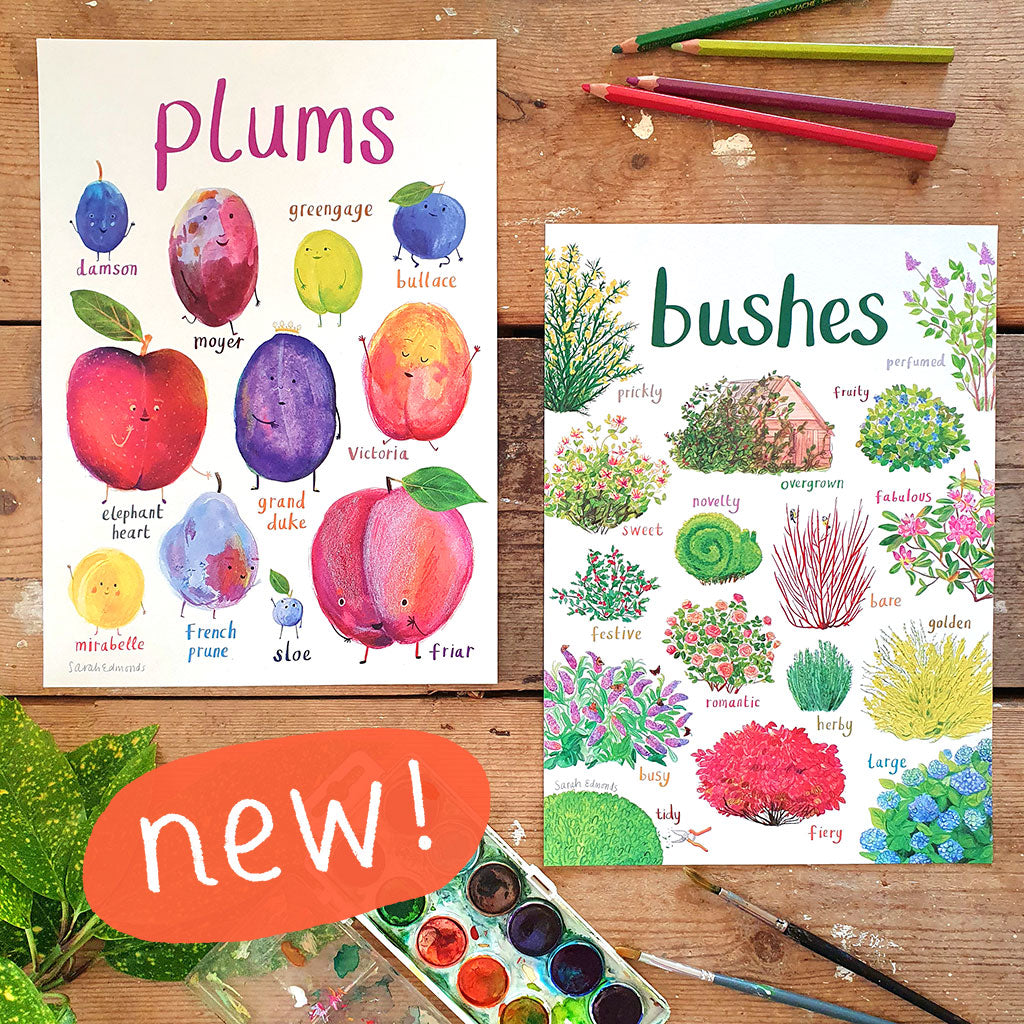 Plums Art Print - A4