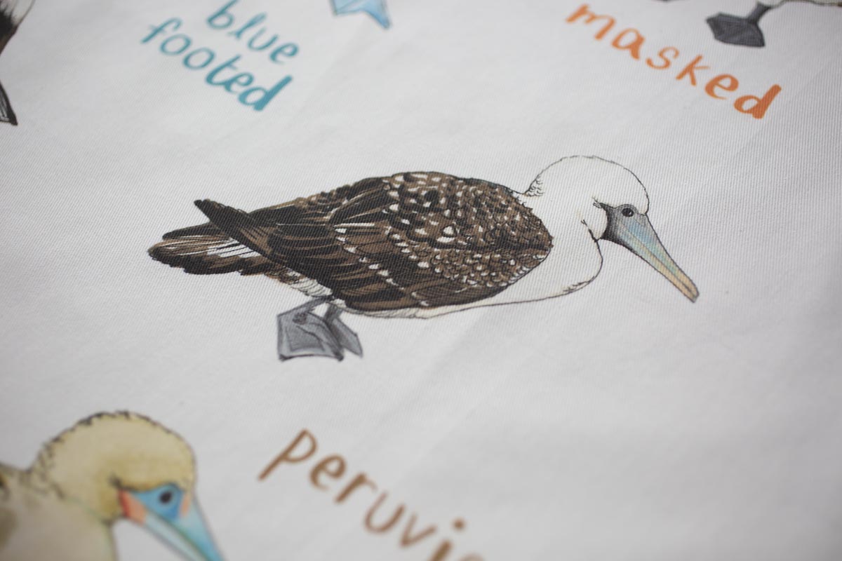 Boobies Apron