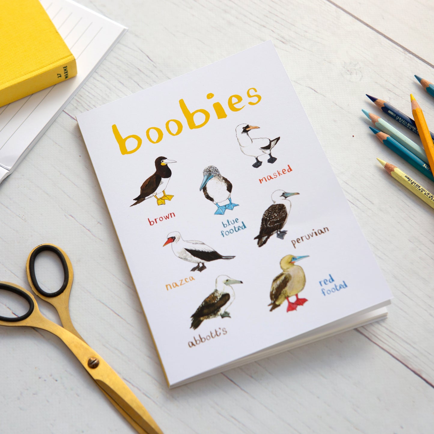 Boobies Recycled Notebook - A5