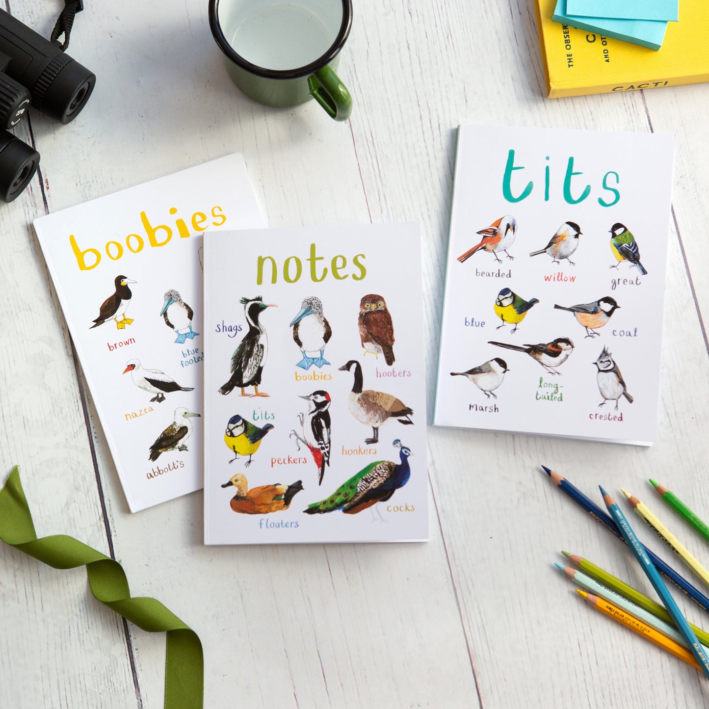 Set of 3 Eco A5 Bird Notebooks