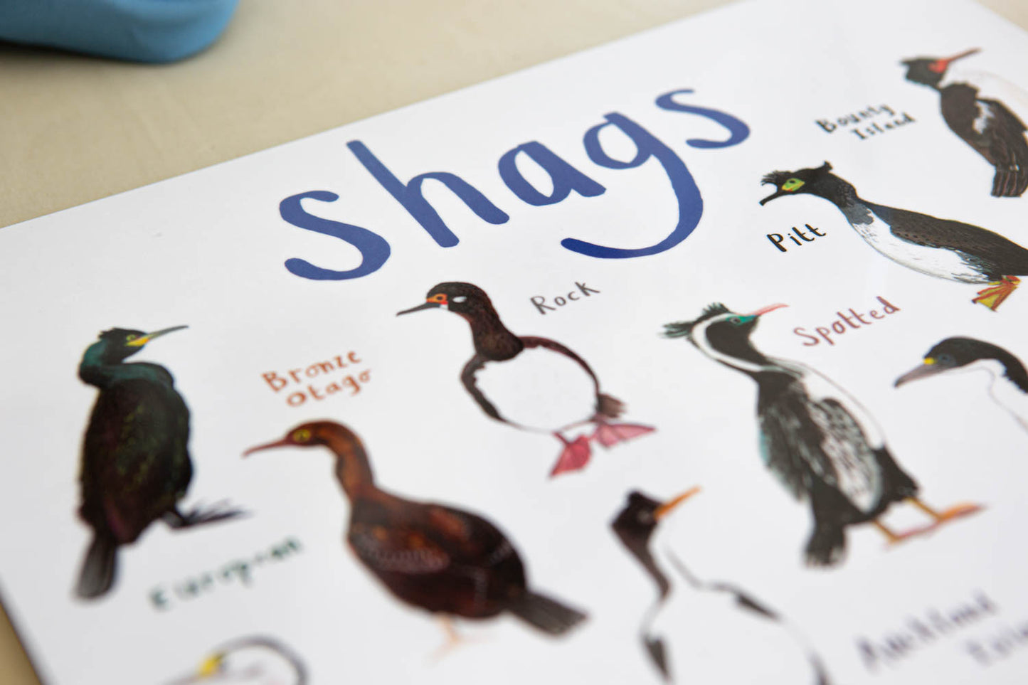 Shags Playful Place Mat