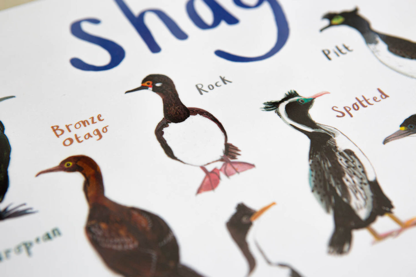 Shags Playful Place Mat