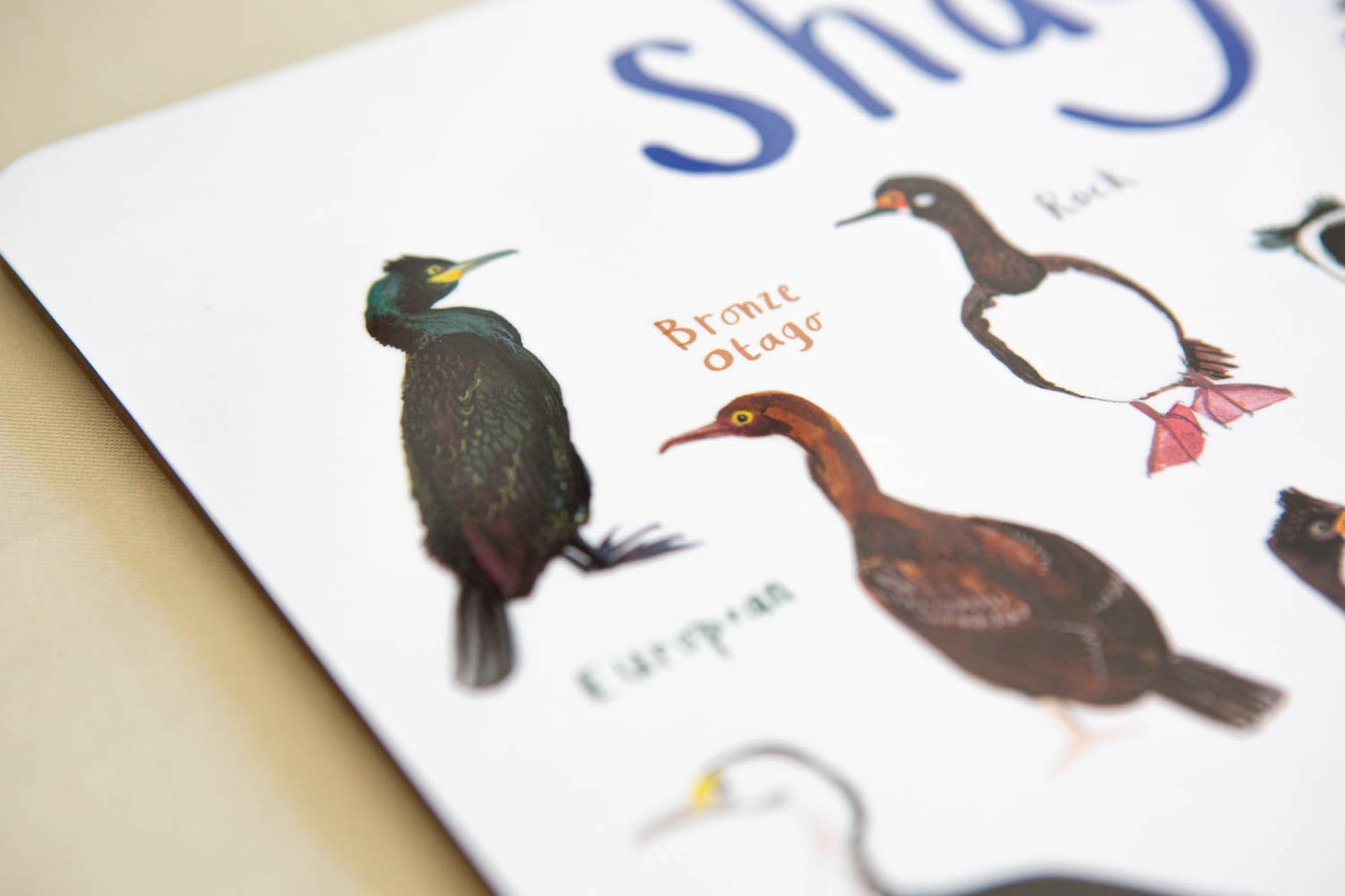 Shags Playful Place Mat