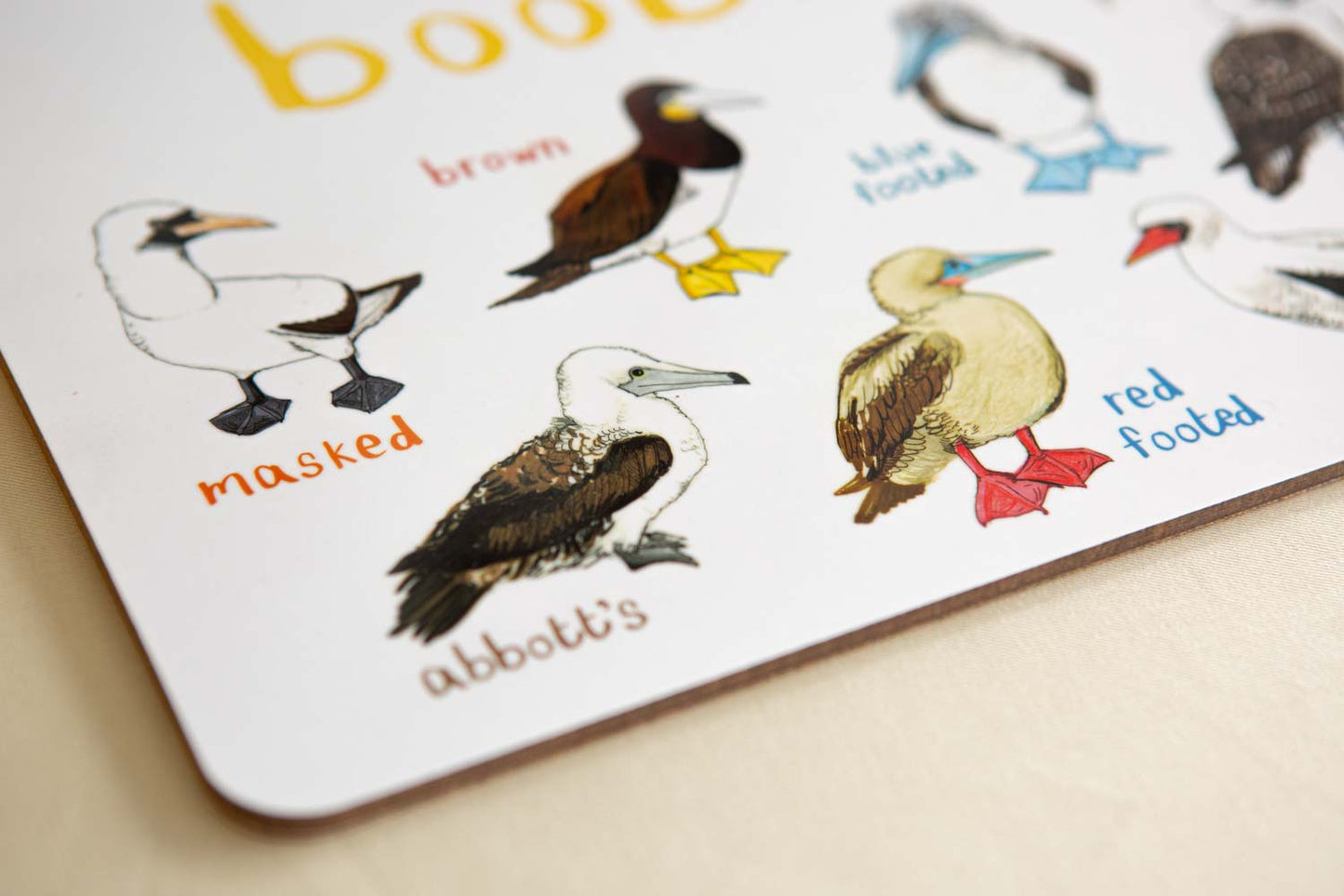 Boobies Playful Place Mat