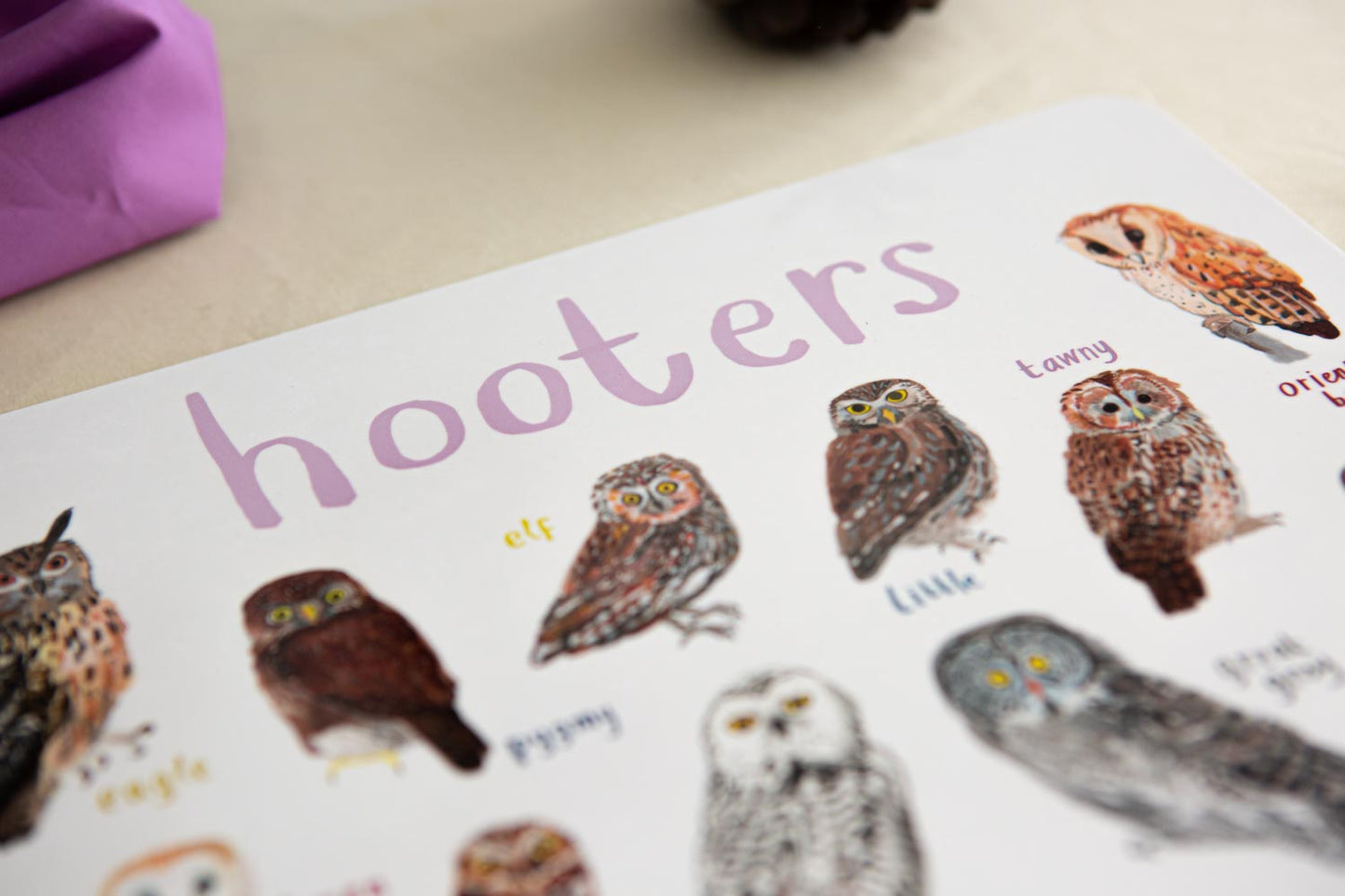 Hooters Playful Place Mat