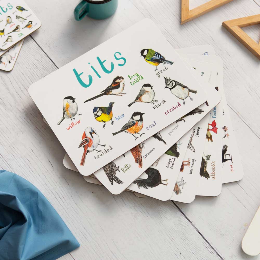 Boxed Set of 6 Playful Place Mats