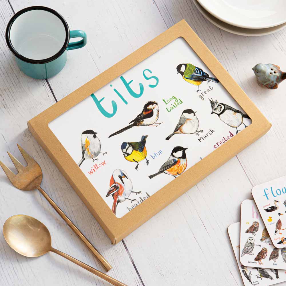Boxed Set of 6 Playful Place Mats