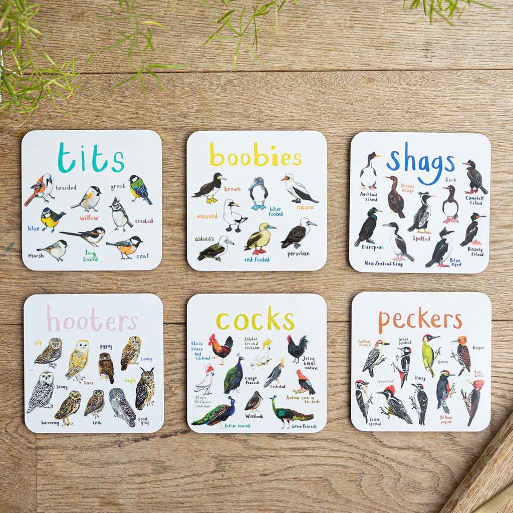 Set of 6 Bird Pun Coasters