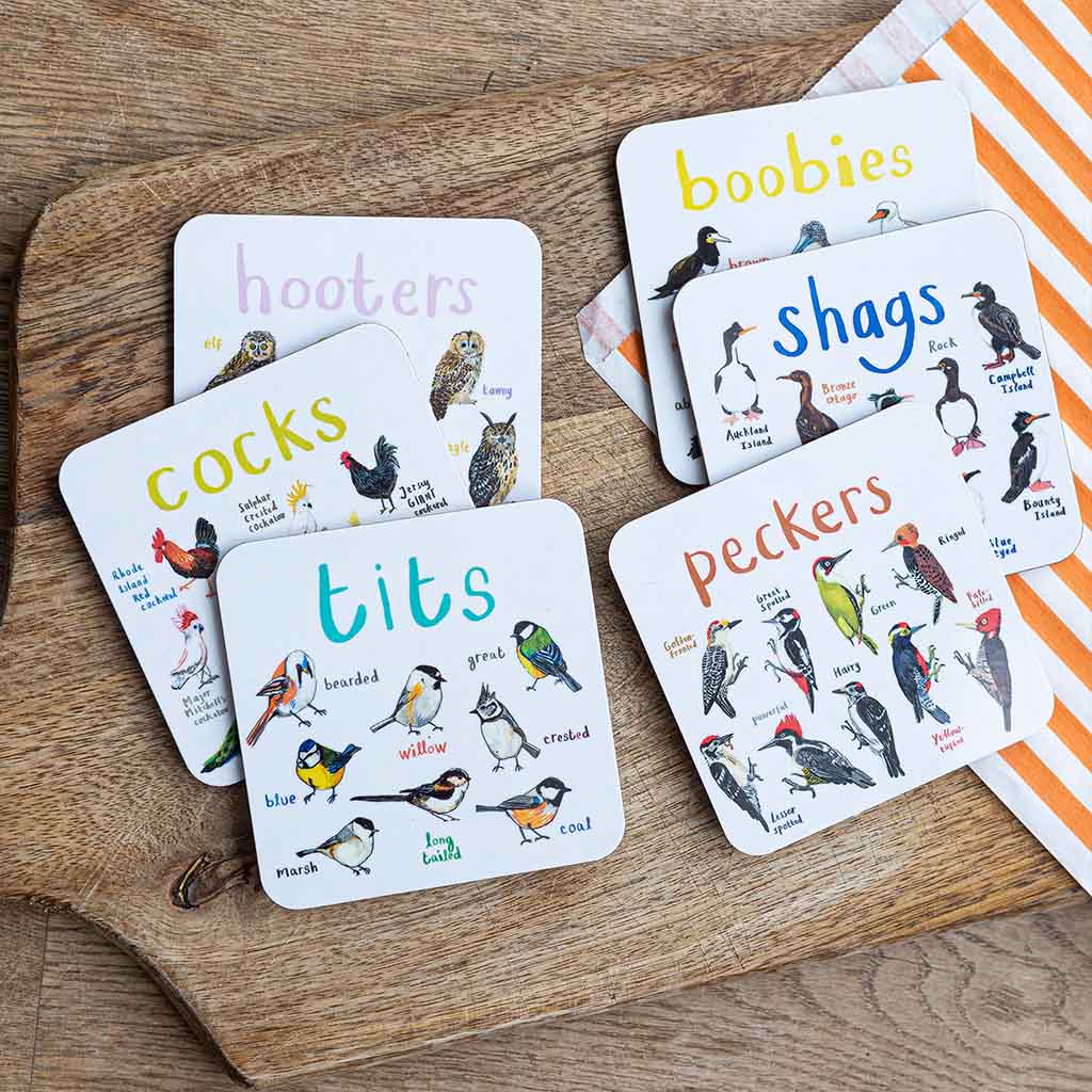 Set of 6 Bird Pun Coasters