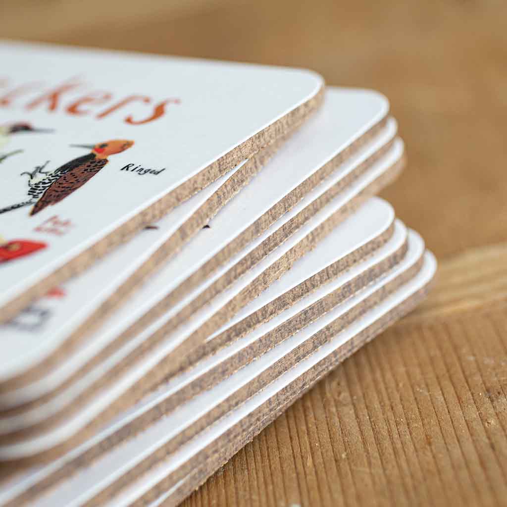 Set of 6 Bird Pun Coasters