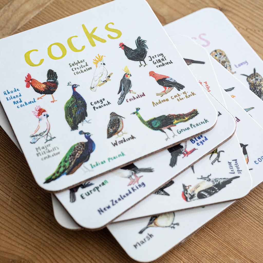 Set of 6 Bird Pun Coasters