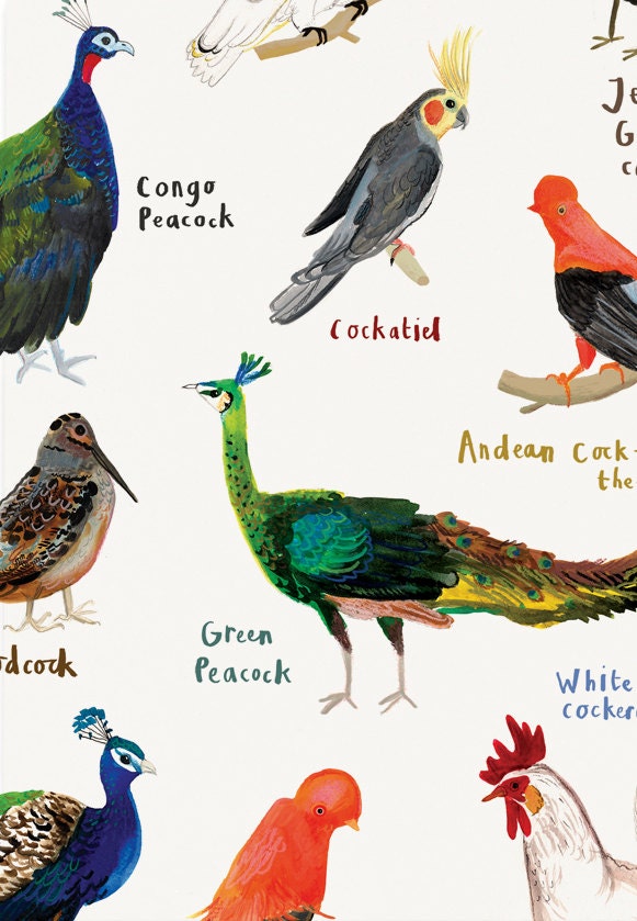 Cocks Art Print - A4