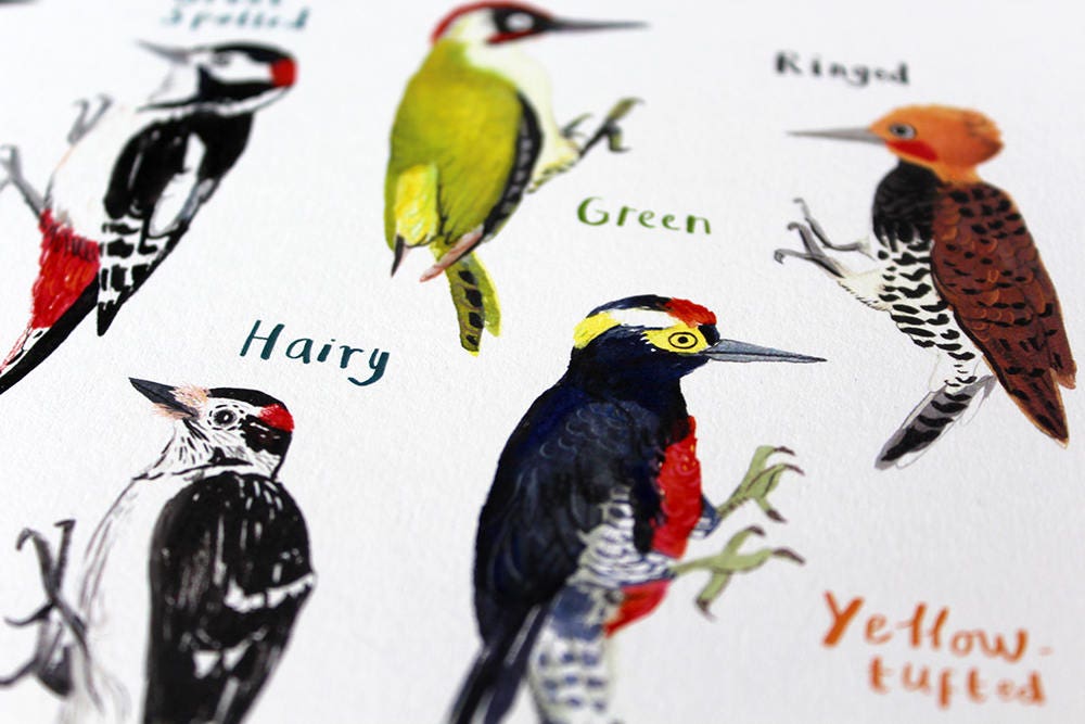Peckers Art Print - A4