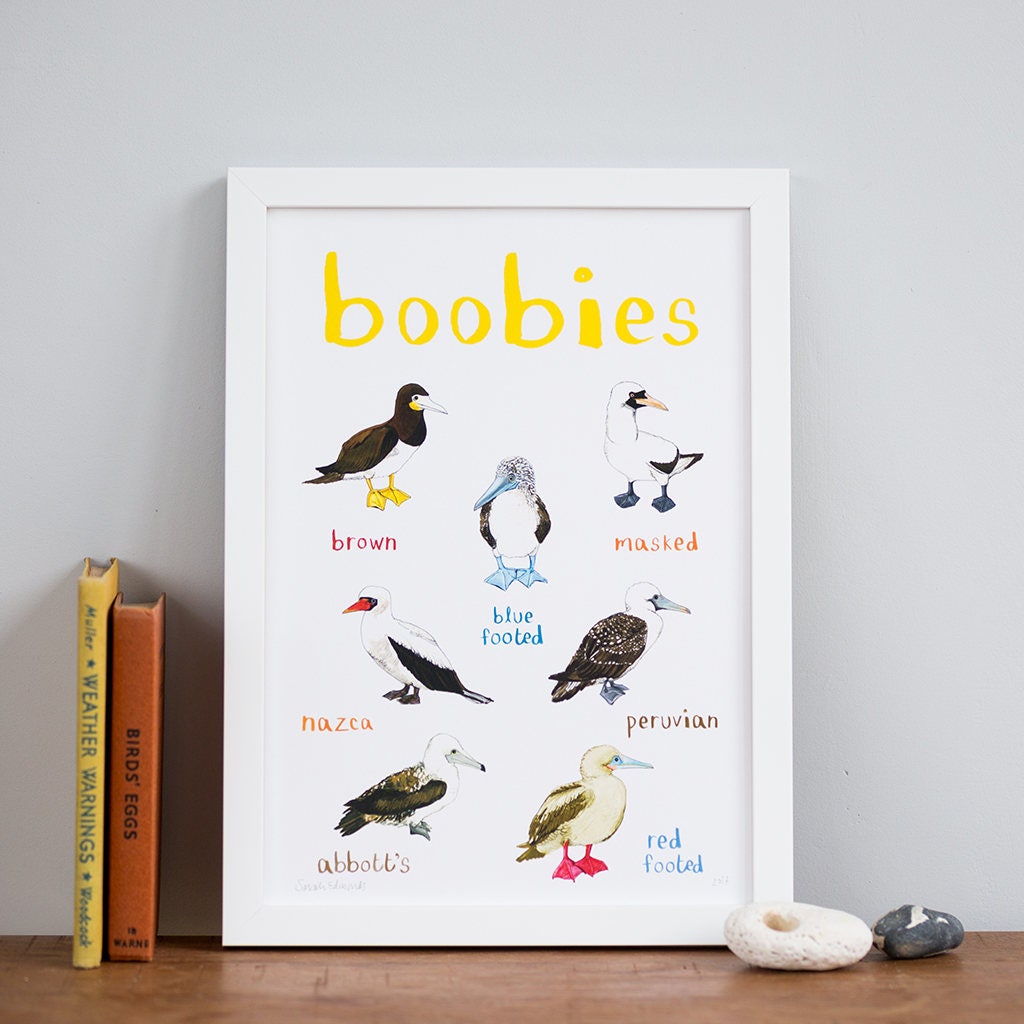 Boobies Art Print - A4