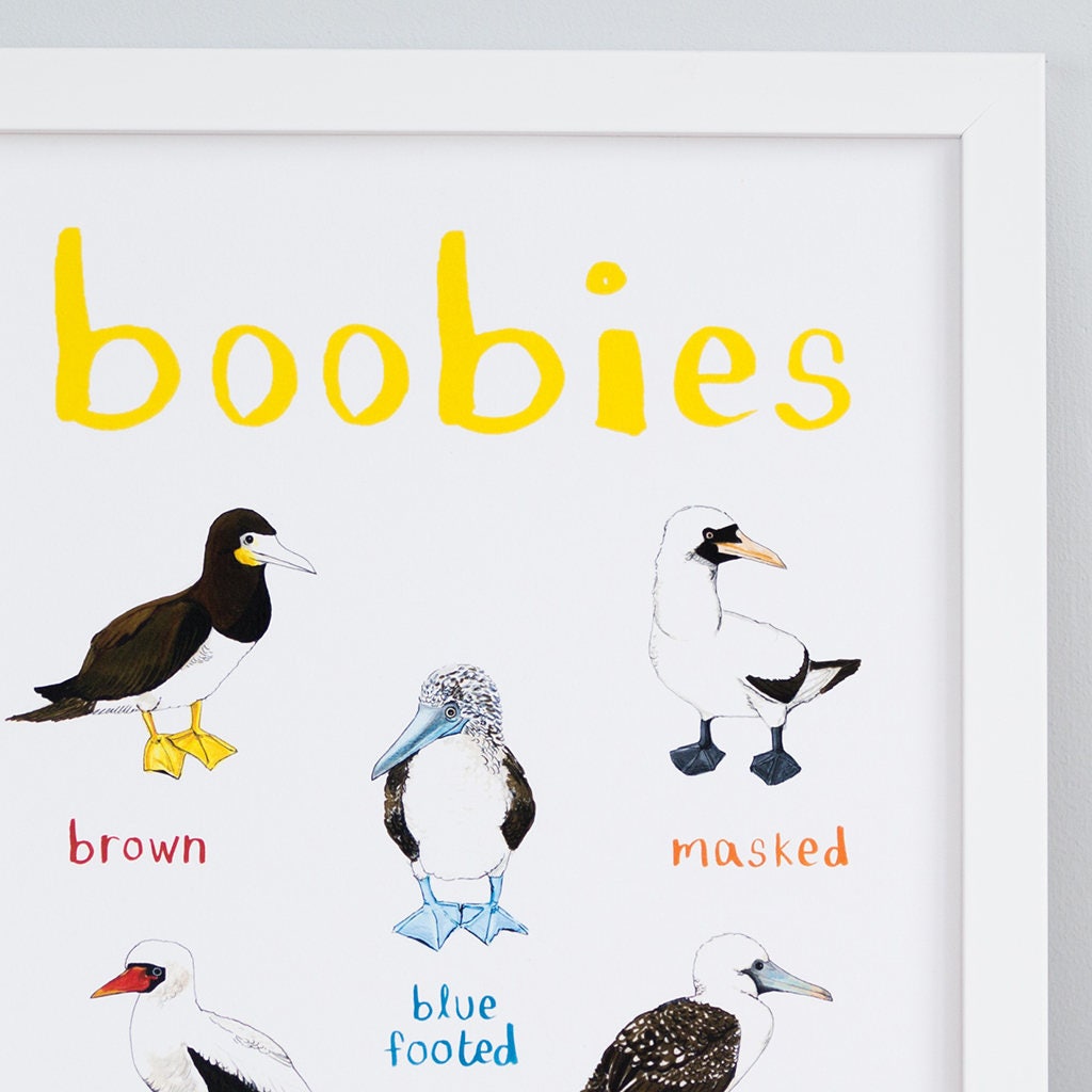 Boobies Art Print - A4