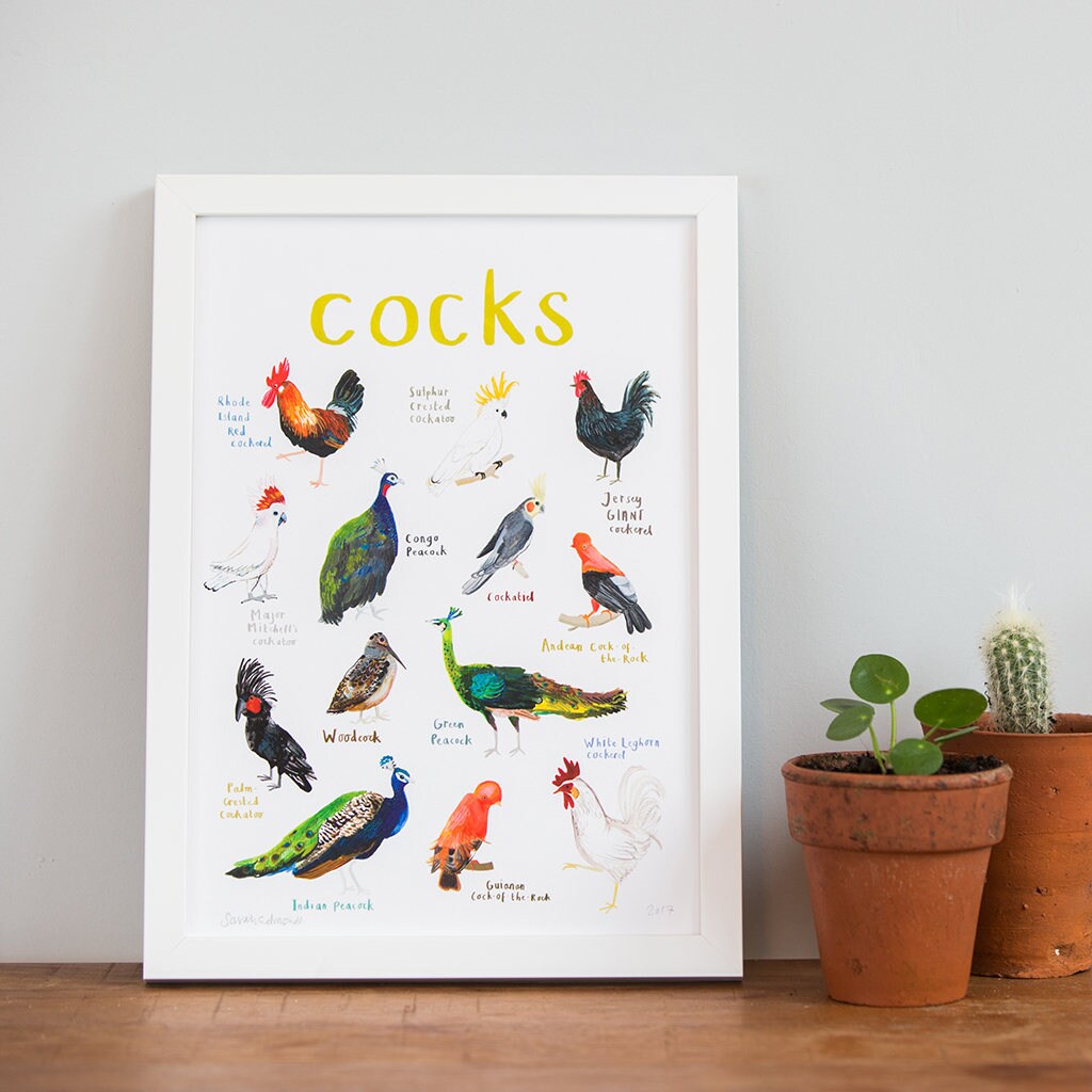 Cocks Art Print - A4