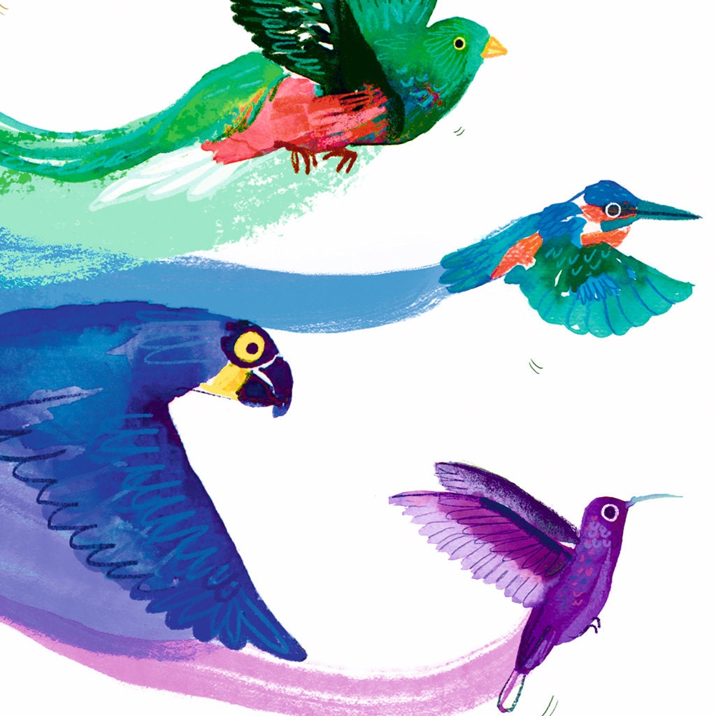 Bird Rainbow Art Print - A4