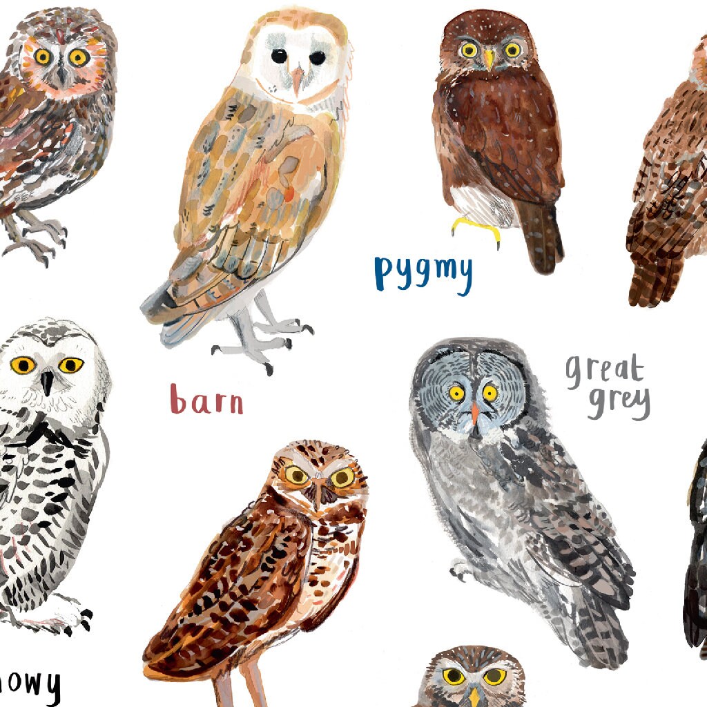 Hooters Art Print - A4