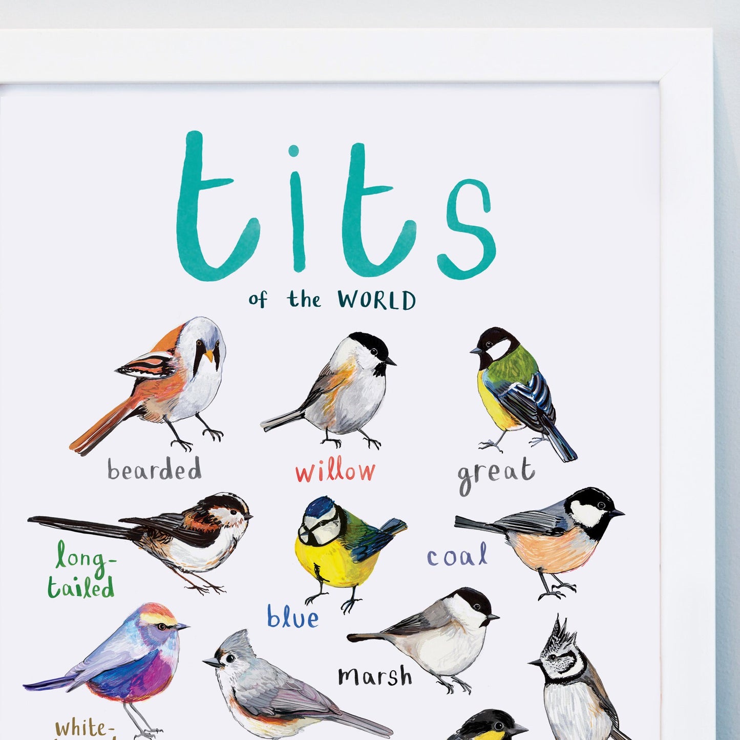 Tits of the WORLD - Bird Art Print - A4 - new edition!