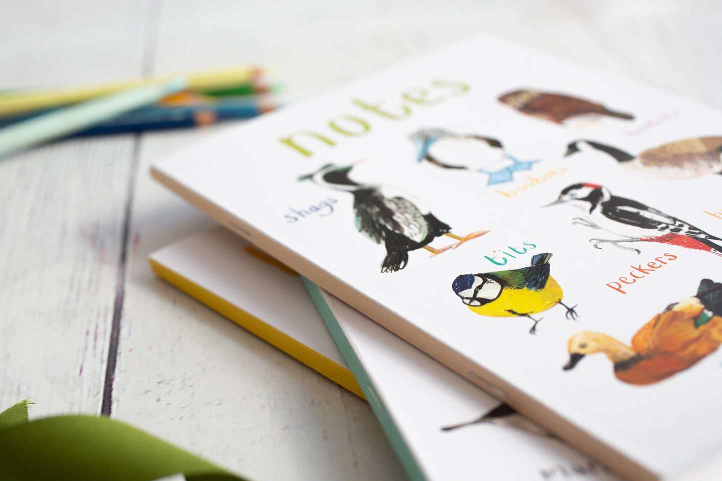 Set of 3 Eco A5 Bird Notebooks