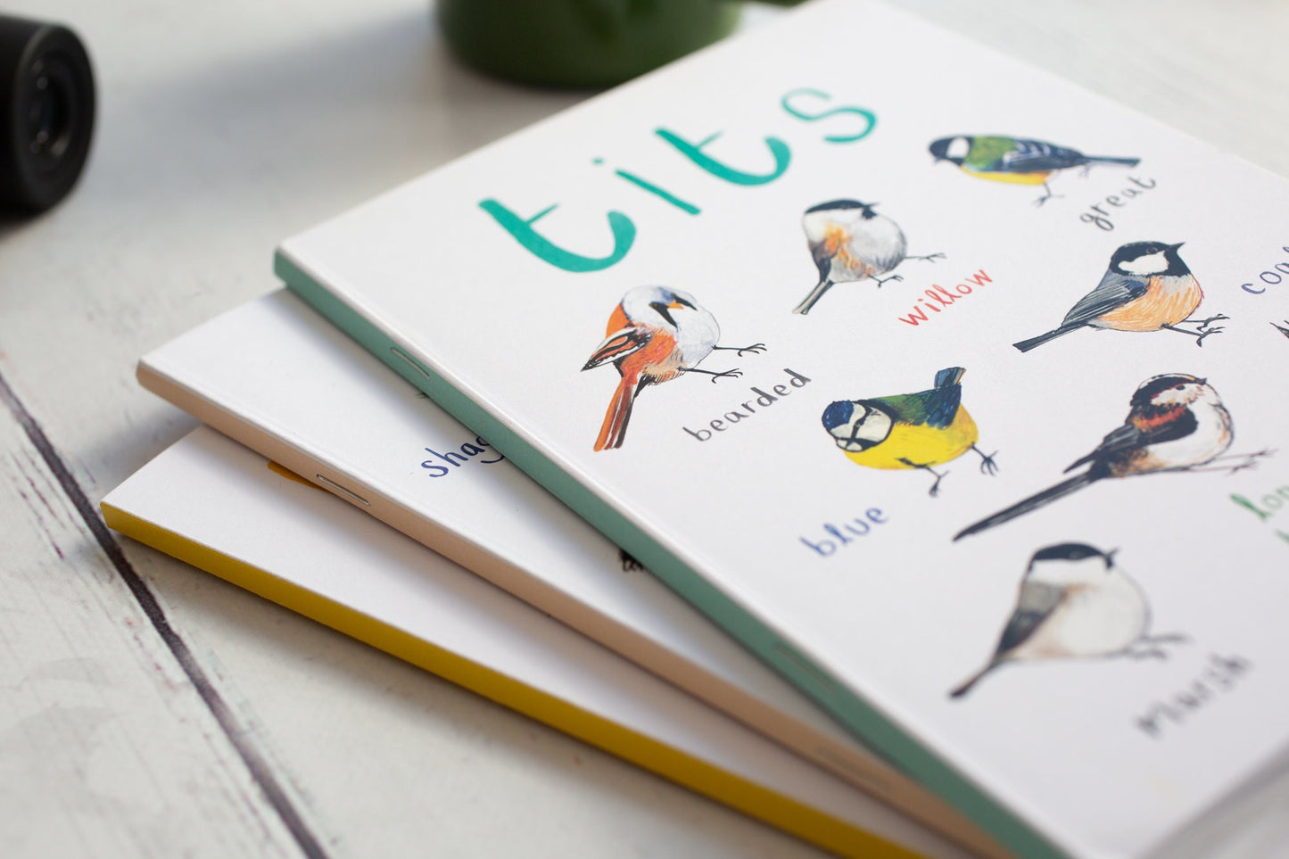 Set of 3 Eco A5 Bird Notebooks