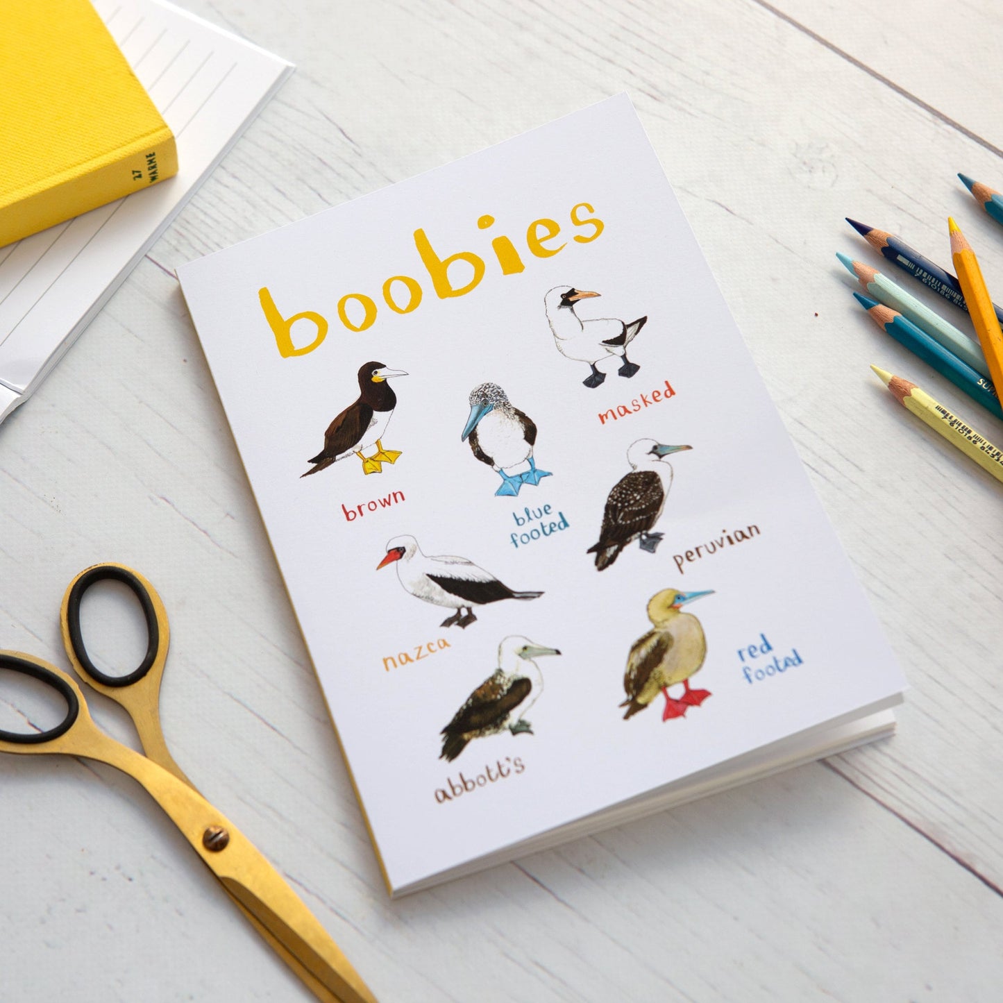 Set of 3 Eco A5 Bird Notebooks