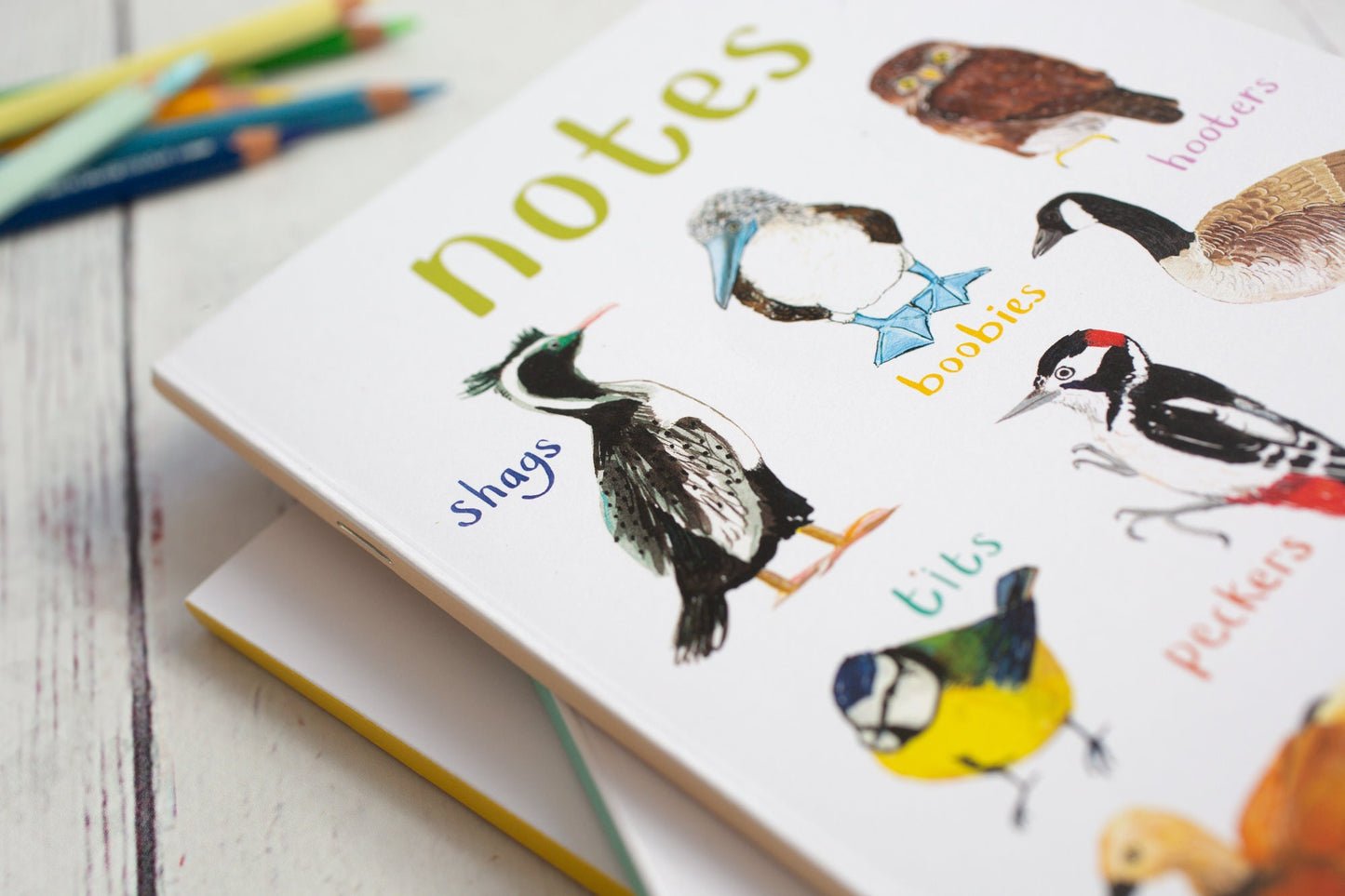 Set of 3 Eco A5 Bird Notebooks