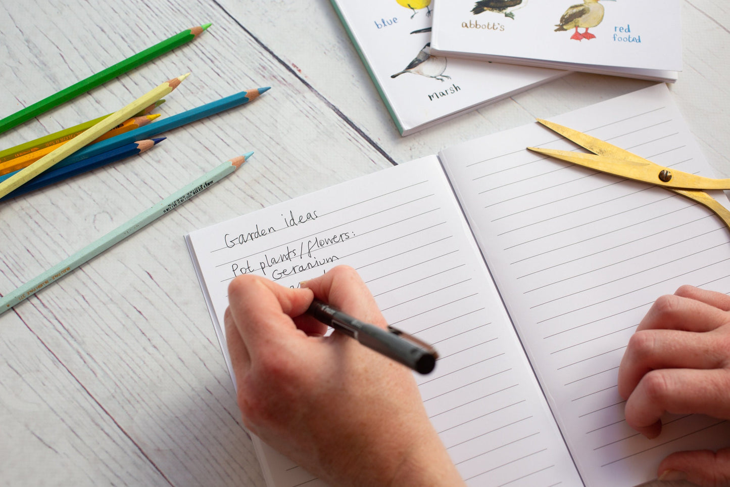 Set of 3 Eco A5 Bird Notebooks