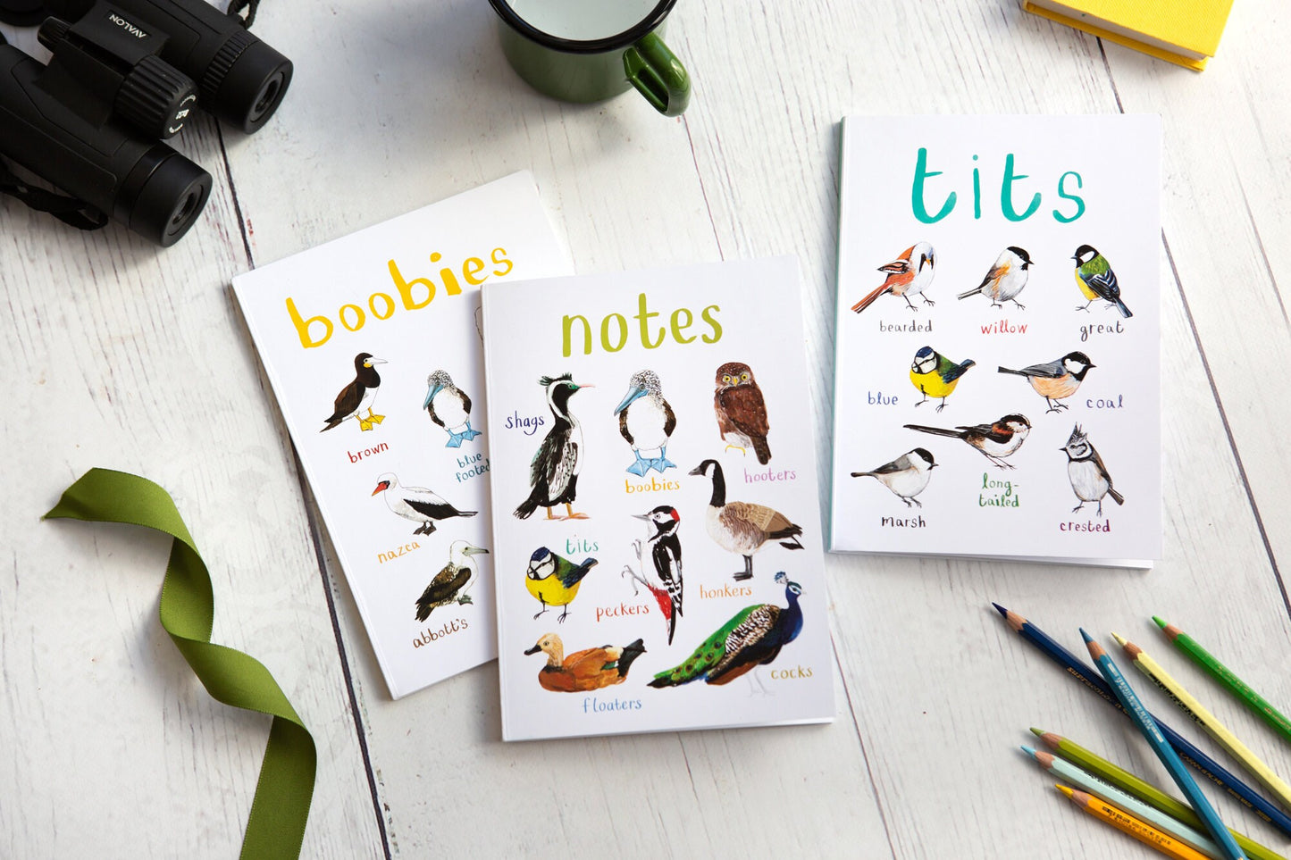 Set of 3 Eco A5 Bird Notebooks