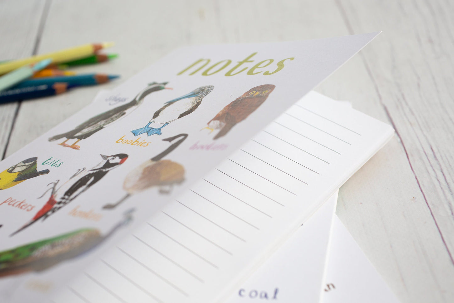 Cheeky Birds Recycled Notebook - A5