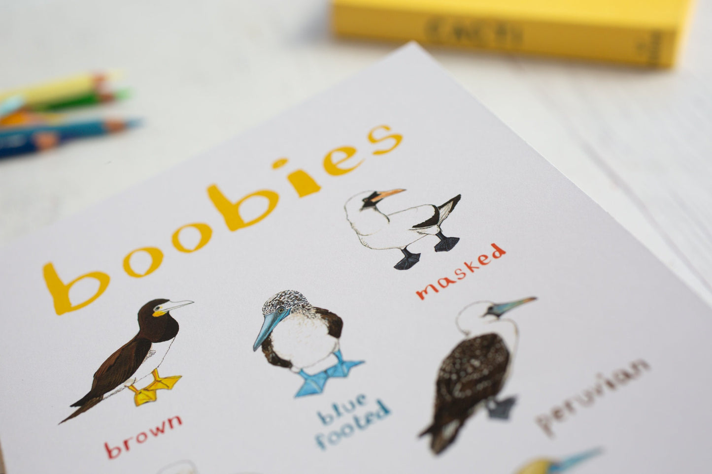 Boobies Recycled Notebook - A5