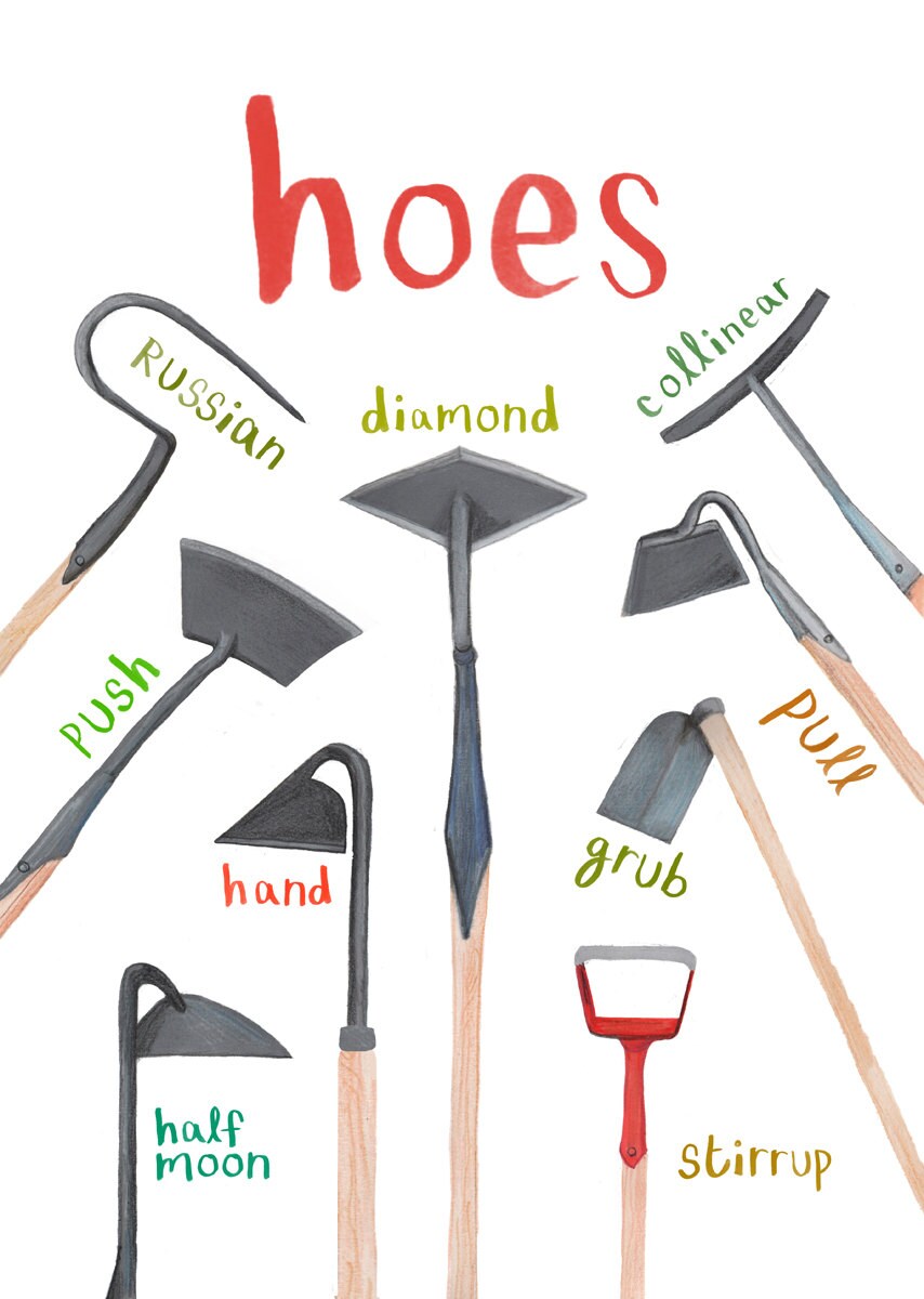 Hoes Art Print - A4