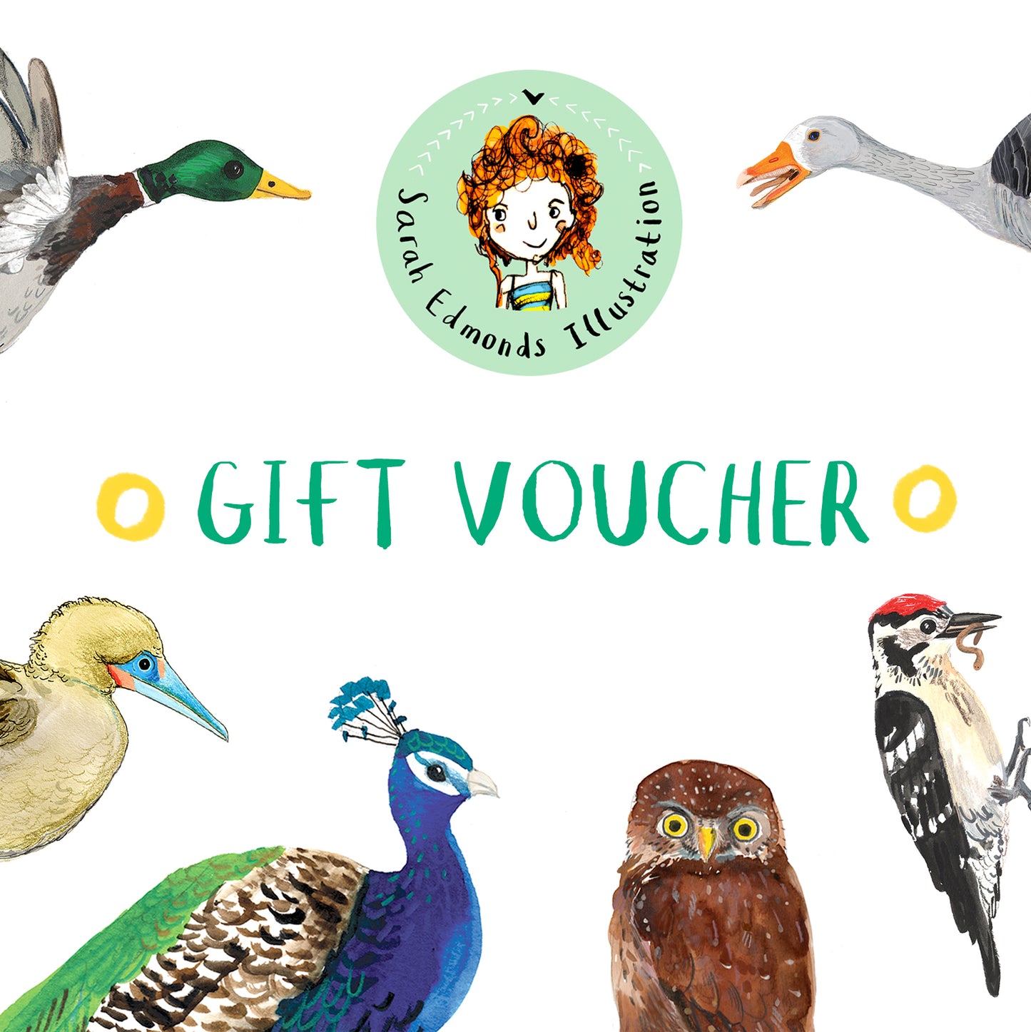 Sarah Edmonds Illustration Gift Voucher