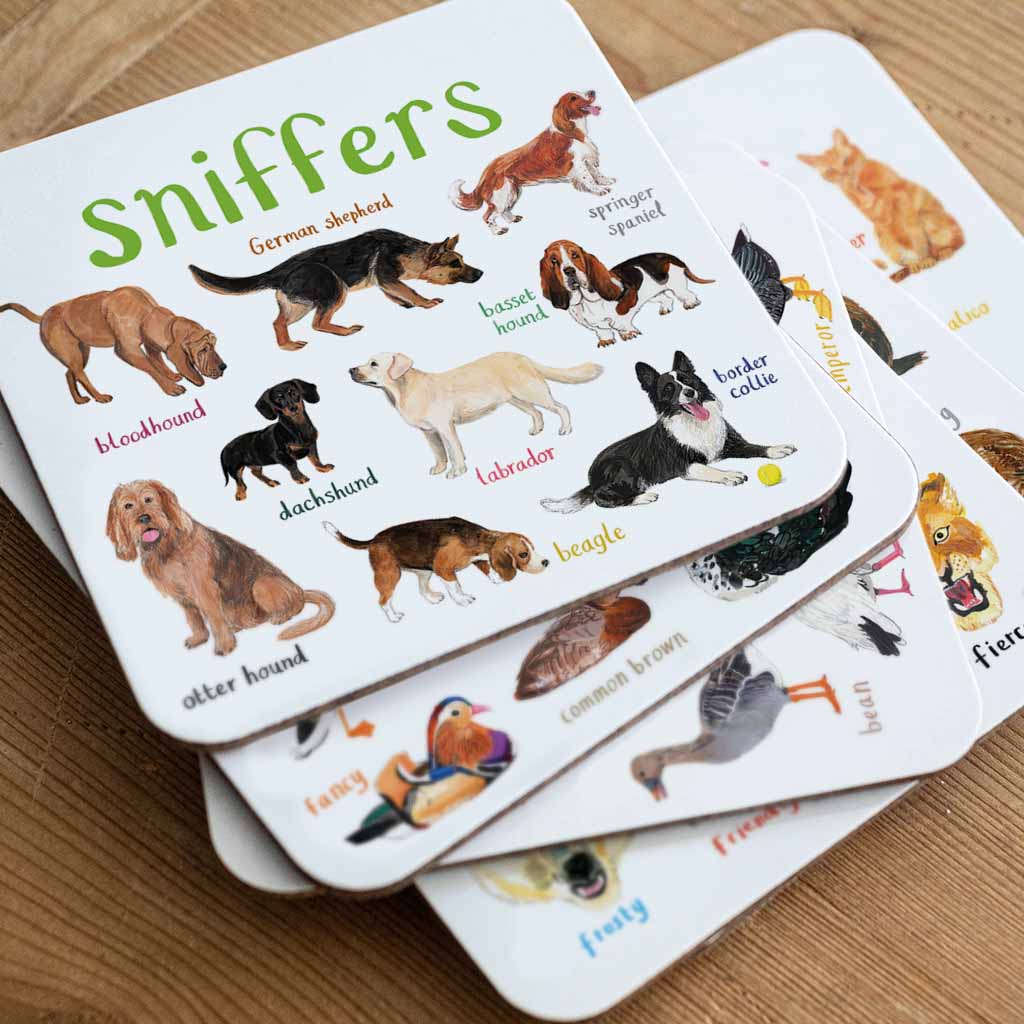 Set of 6 Wild Pun Coasters