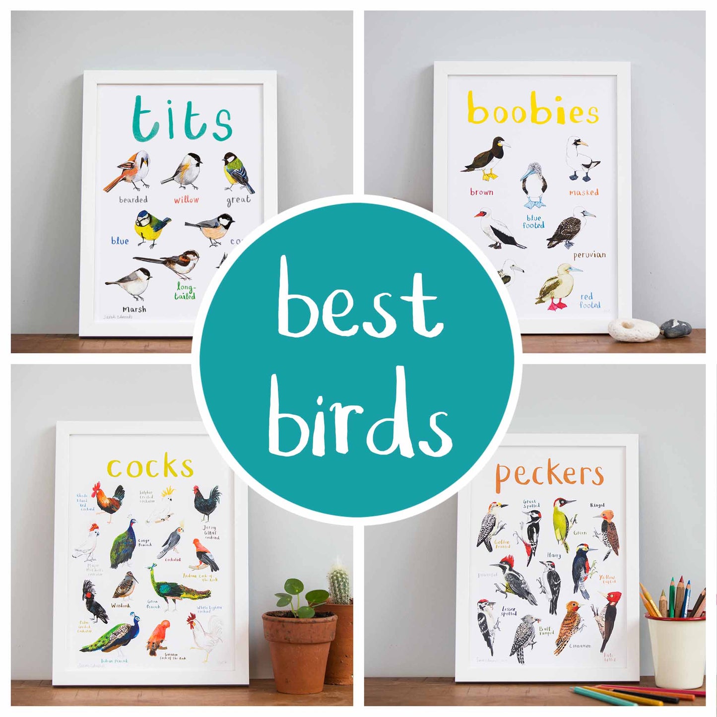 Best Birds Bundle