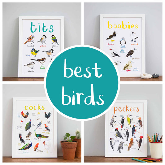 Best Birds Bundle