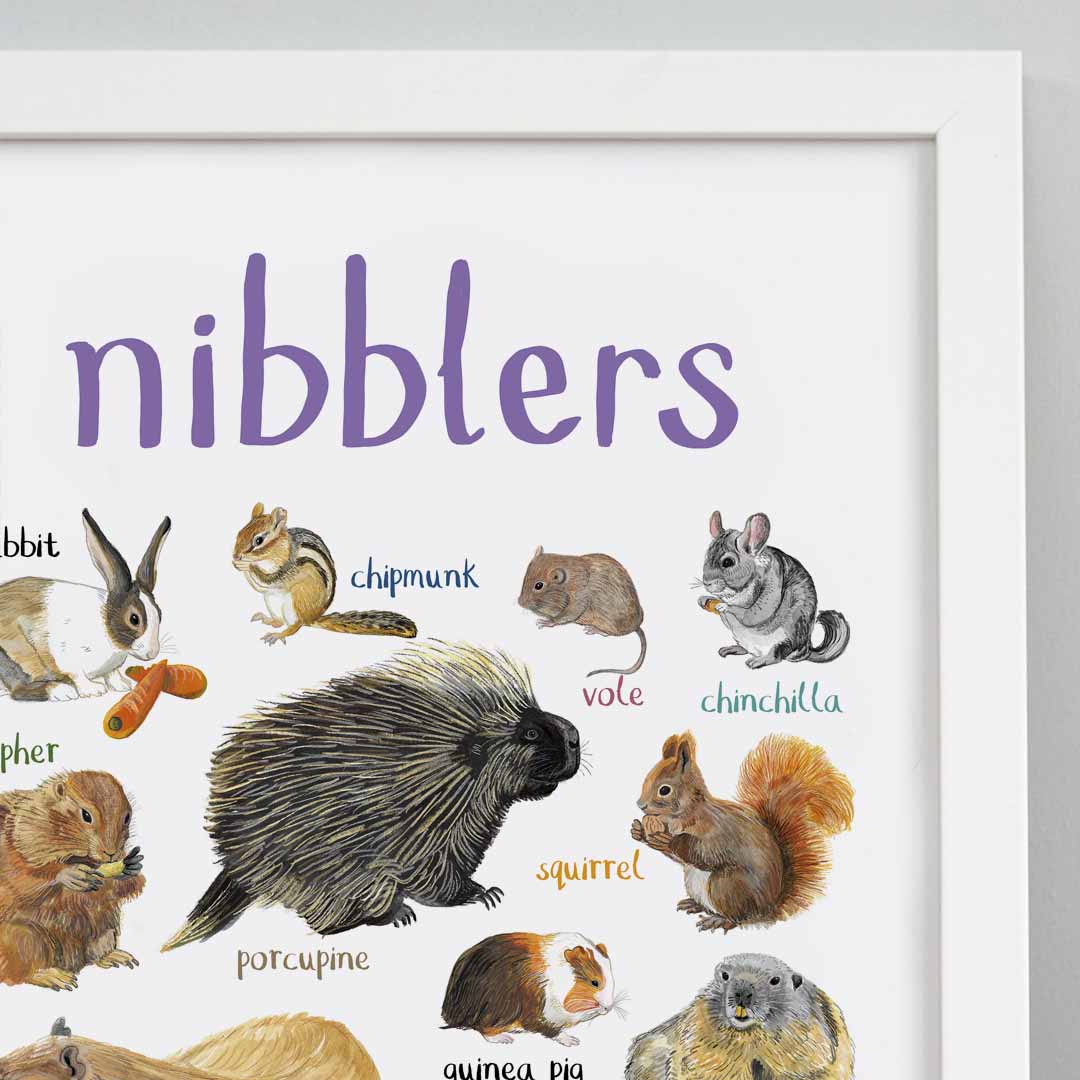 Nibblers Art Print - A4