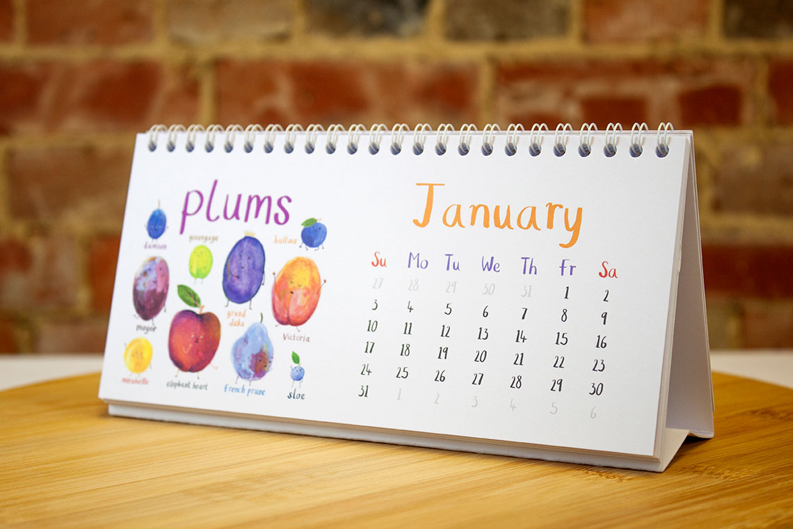 *NEW* 2027 'For The Pun Of It' Desk Calendar **US Edition**