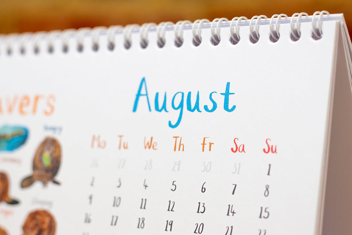 *NEW* 2027 'For The Pun Of It' Desk Calendar - UK Edition