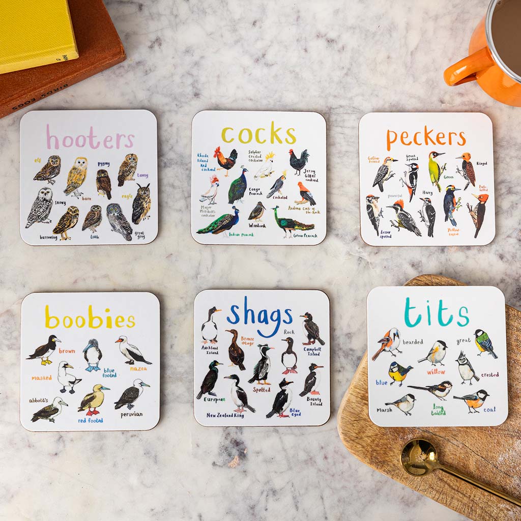 Set of 6 Bird Pun Coasters