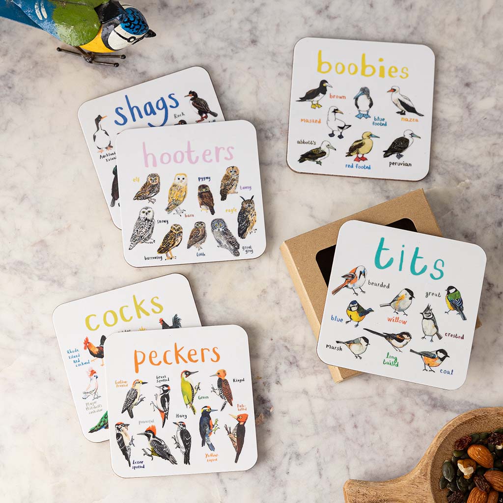 Set of 6 Bird Pun Coasters