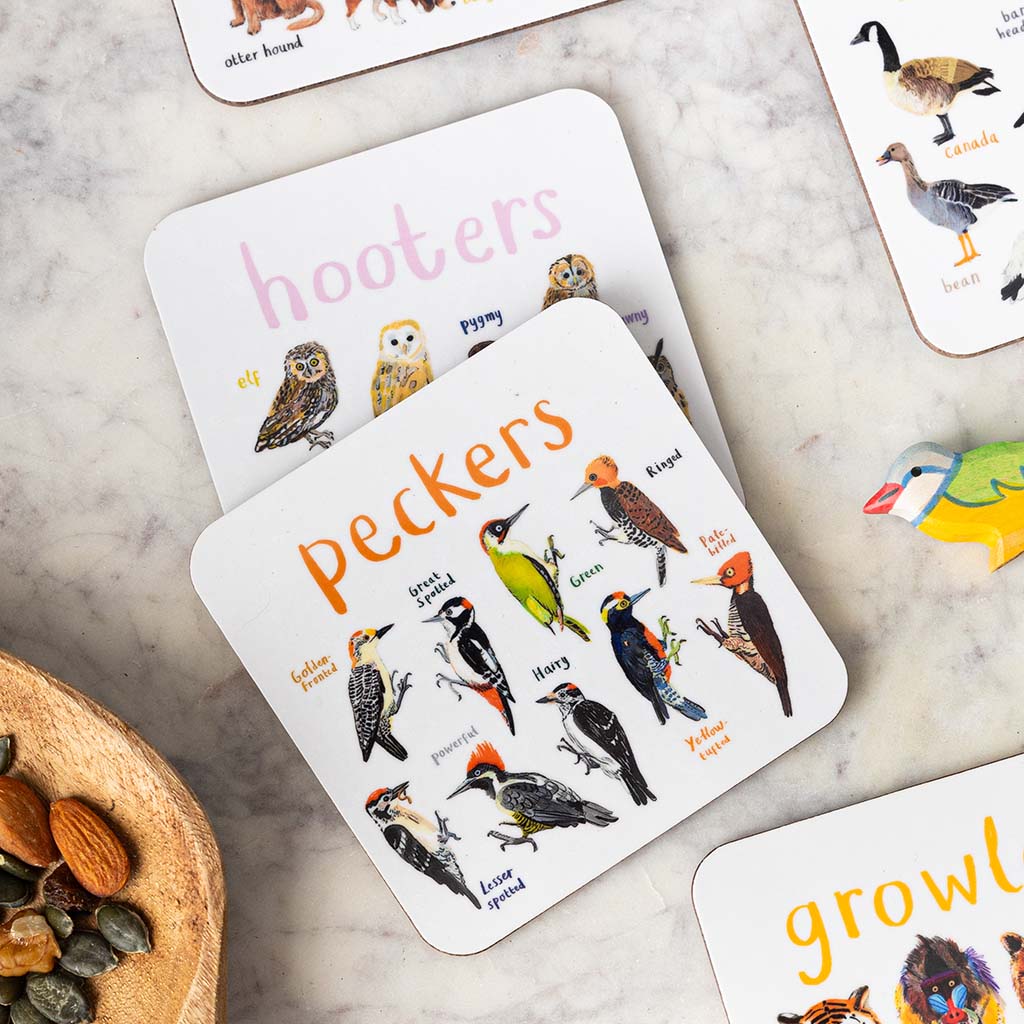 Set of 6 Bird Pun Coasters