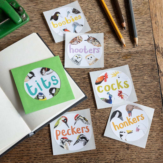Set of 6 Bird Pun Stickers