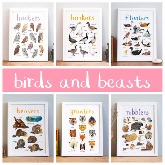 Birds and Beasts