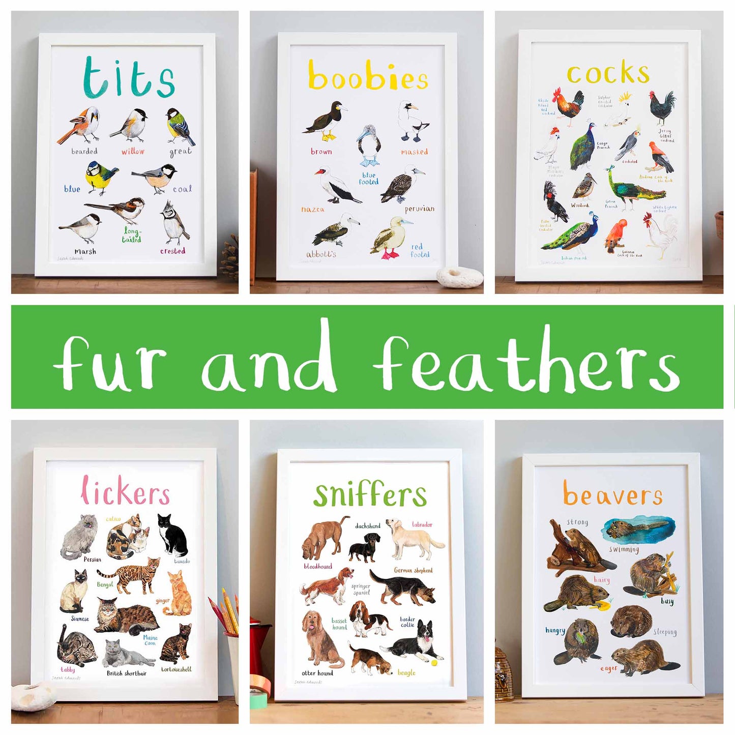 Fur and Feathers