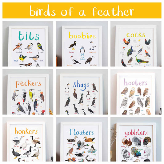 Birds of a Feather