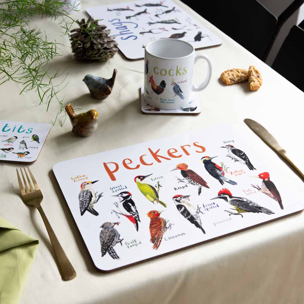 Boxed Set of 6 Playful Place Mats