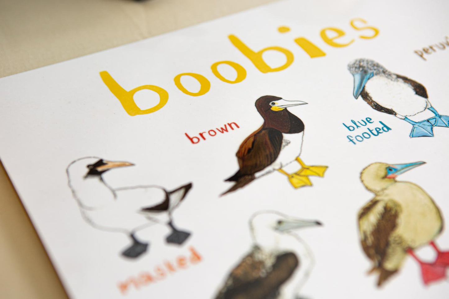 Boobies Playful Place Mat